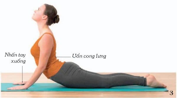Thực hiện bài tập này phần cột sống lưng, cổ, cánh tay, vai và bụng được tác động
