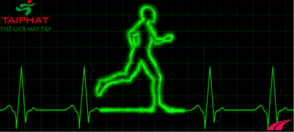 Nhịp tim mục tiêu và nhịp chân chạy bộ là hai yếu tố qan trọng khi chạy bộ giảm mỡ bụng.