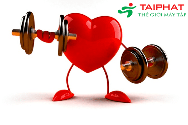Bài tập Cardio làm tăng nhịp tim