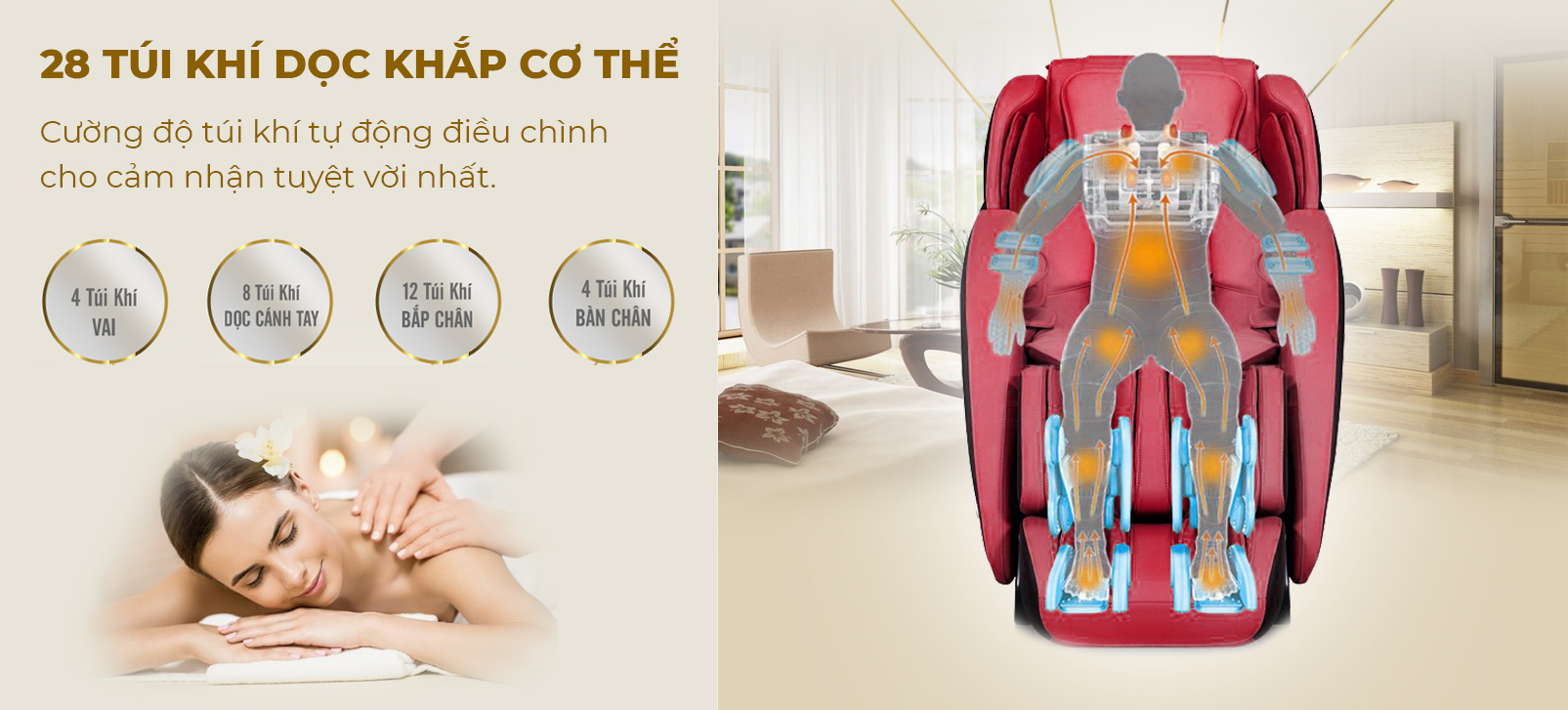 Cấu trúc phân bổ túi khí trên một chiếc ghế massage toàn thân Fujikashi.