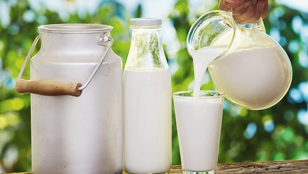 Sữa để giảm cân